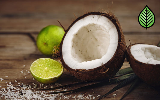 Coconut Lime Verbena Fragrance Oil - Candeo Candle Supply