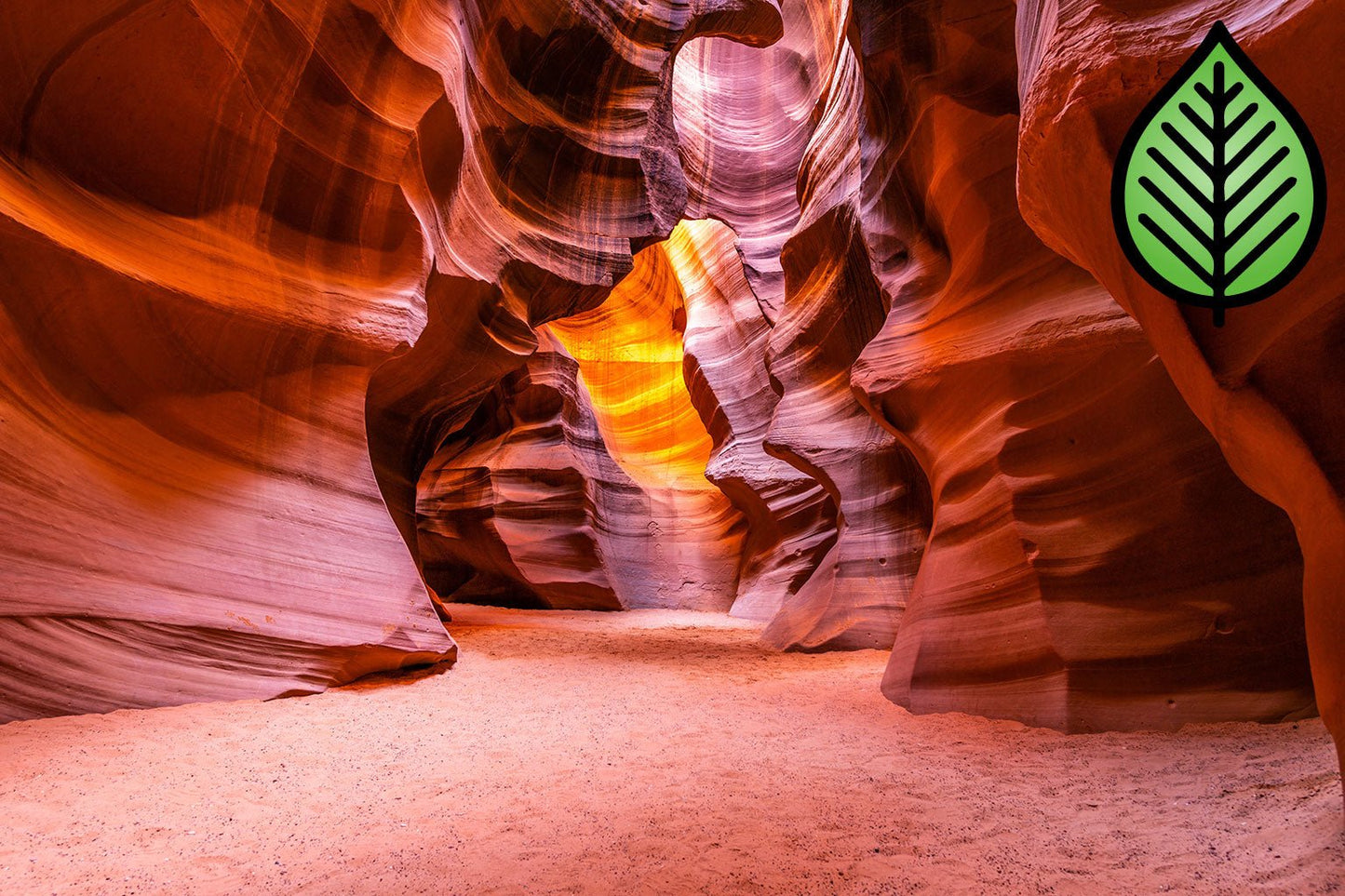Desert Canyon Fragrance Oil - Candeo Candle Supply