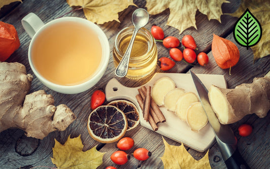 Ginger & Spice Fragrance Oil - Candeo Candle Supply