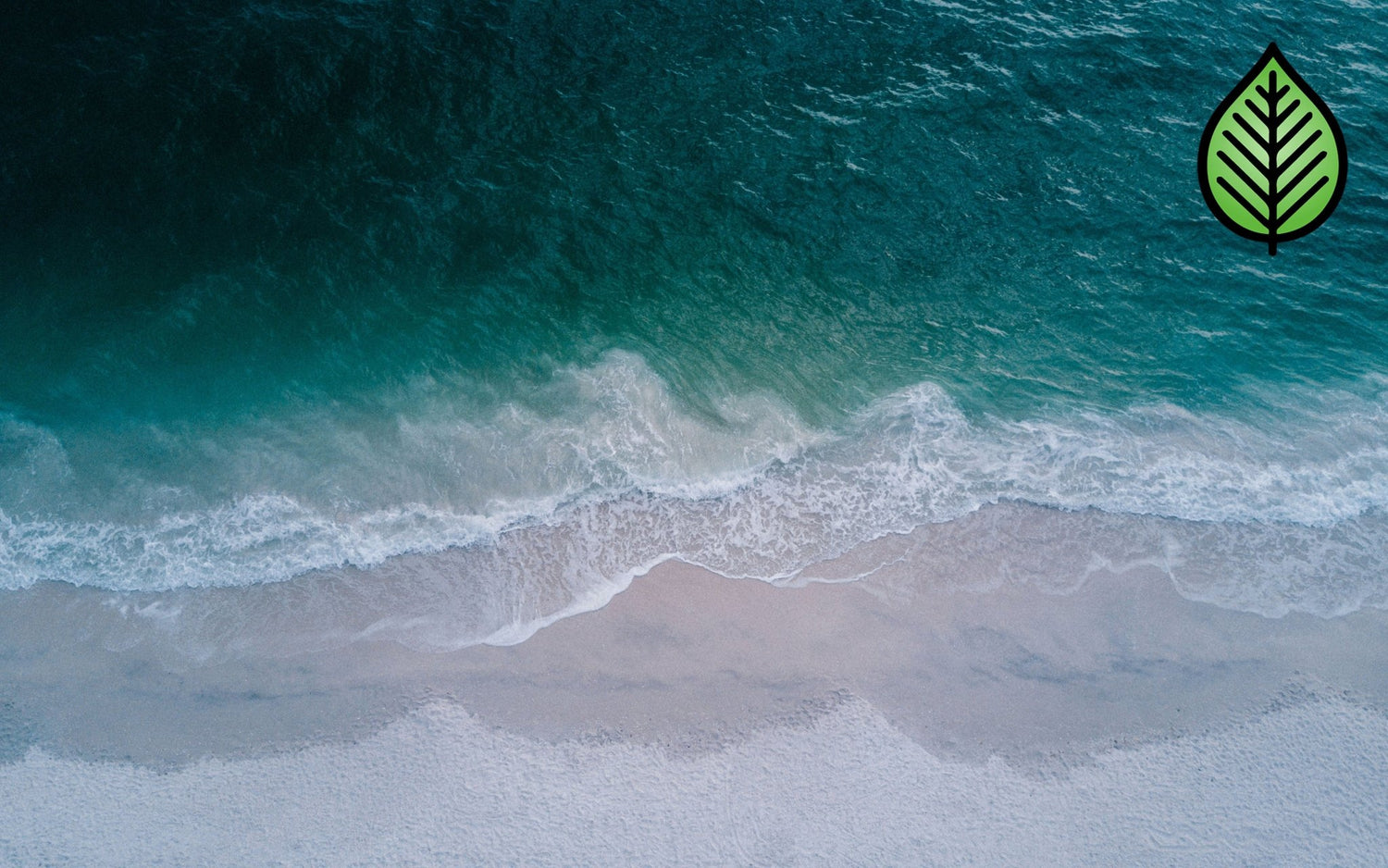 Ocean Breeze Fragrance Oil - Candeo Candle Supply