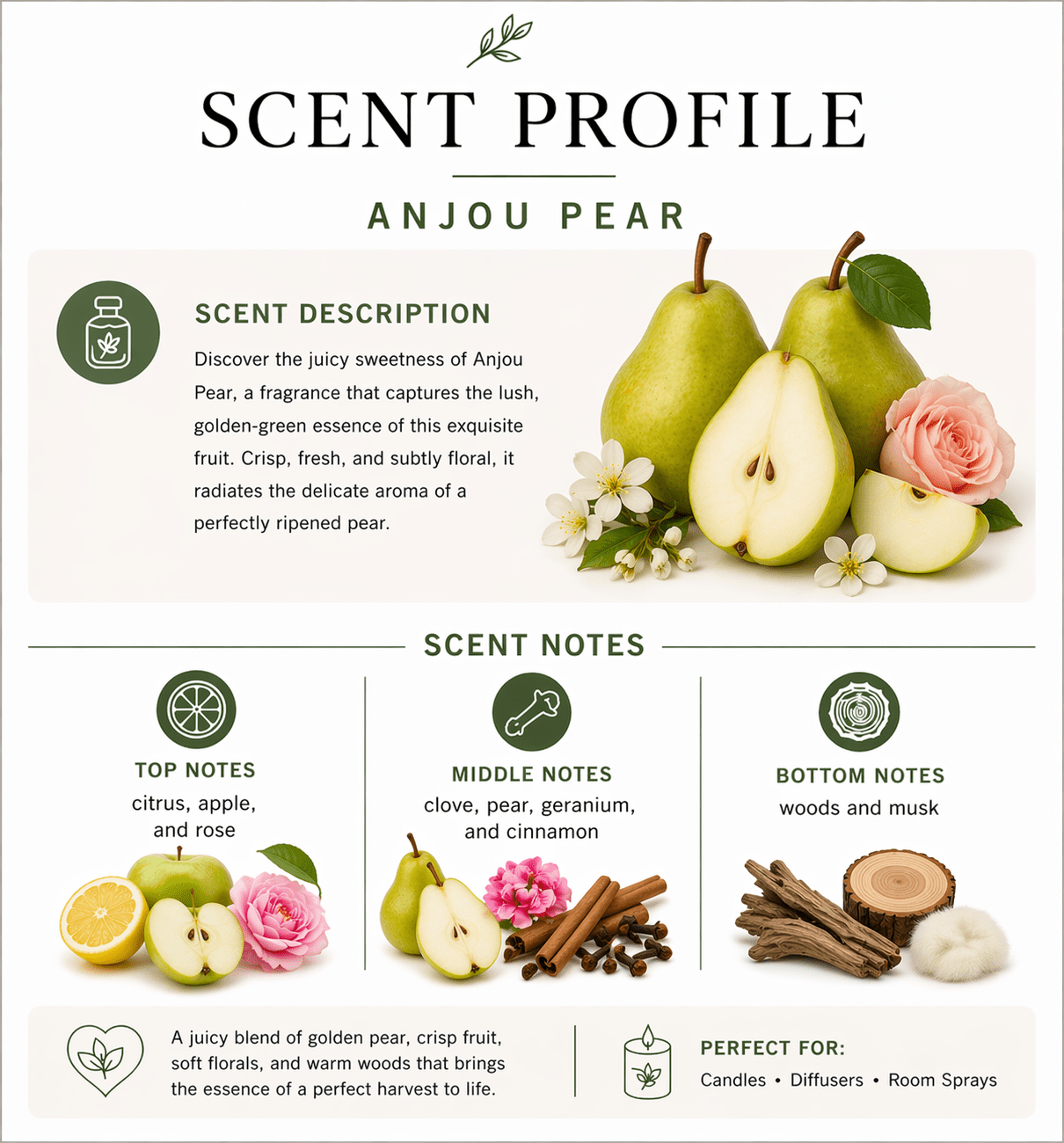 Anjou Pear Fragrance Oil - Candeo Candle Supply