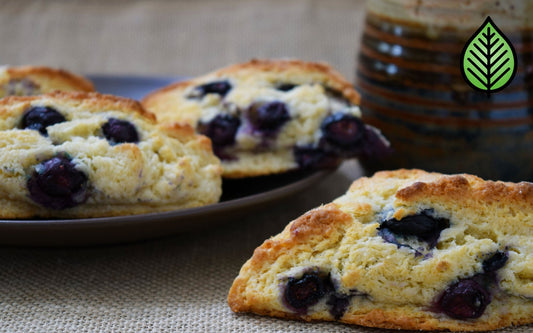 Blueberry Scones Fragrance Oil - Candeo Candle Supply