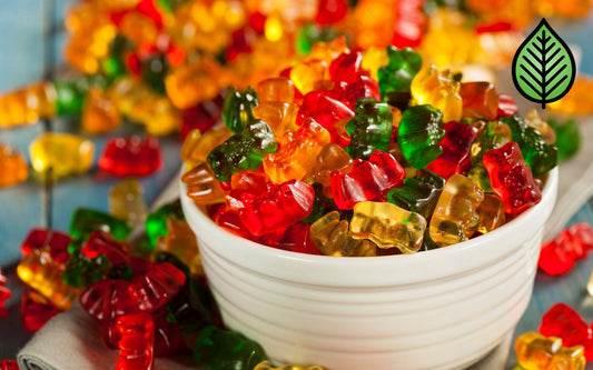 Gummy Bears Fragrance Oil - Candeo Candle Supply