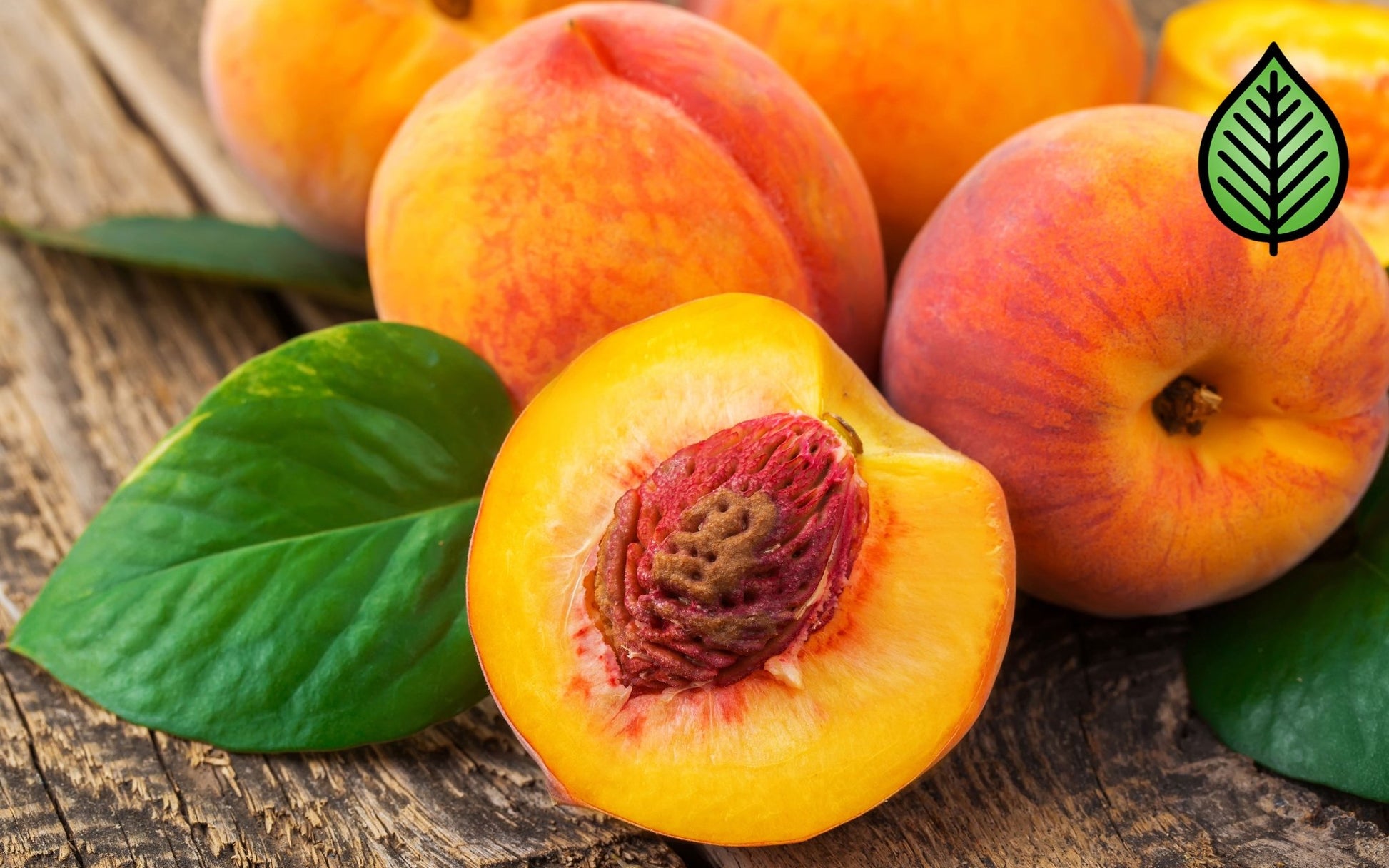 Peach Nectar Fragrance Oil - Candeo Candle Supply