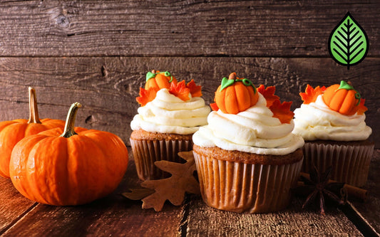 Pumpkin Caramel Cupcake Fragrance Oil - Candeo Candle Supply