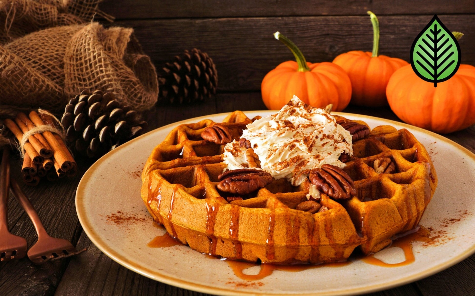 Pumpkin Pecan Belgian Waffles Fragrance Oil - Candeo Candle Supply