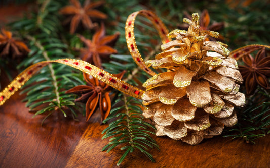 Cinnamon Pine Cones Fragrance Oil - Candeo Candle Supply